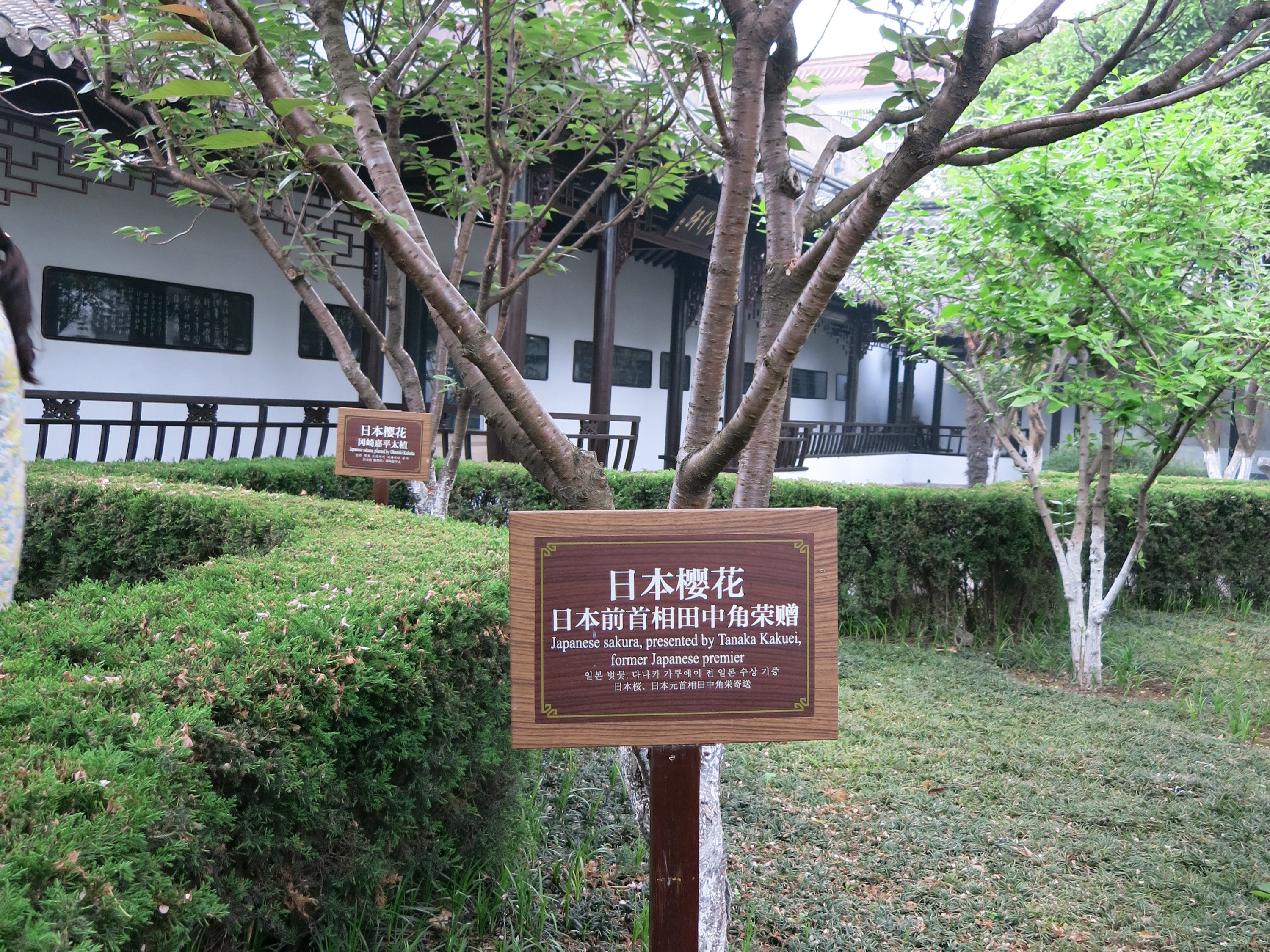写真5