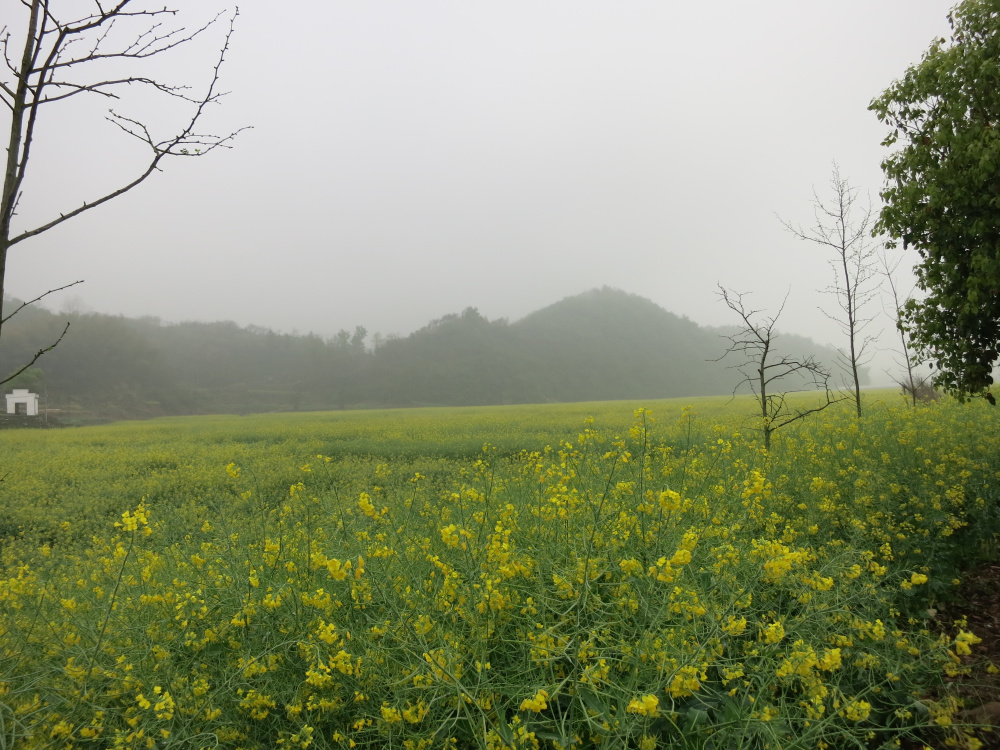 写真2